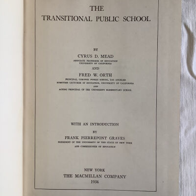 The transitional public school