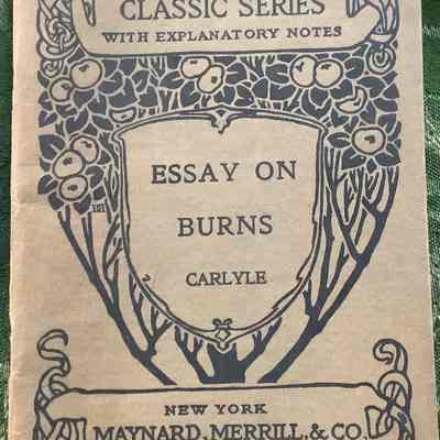 Essay on Burns