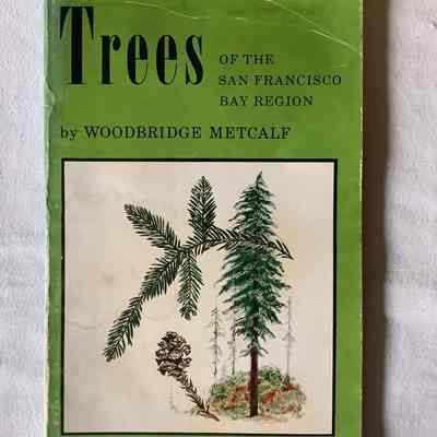 Native Trees of the San Francisco Bay Region