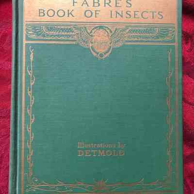 Fabre's Book Of Insects