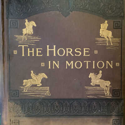The Horse In Motion