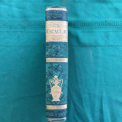 Macauley Illustrated