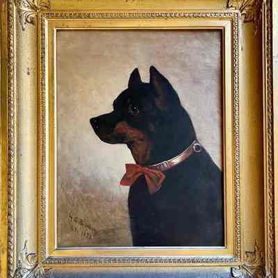 Black Dog from Fernside
