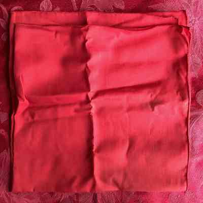Red Bandanna (?)