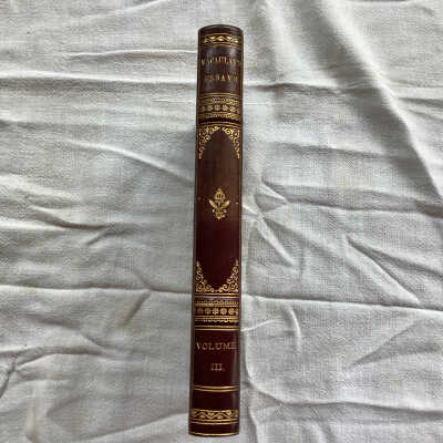 Critical and Historical Essays [Volume 3]