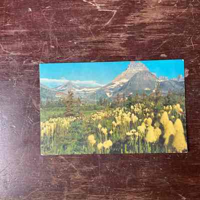 Postcard (fields and mountains)