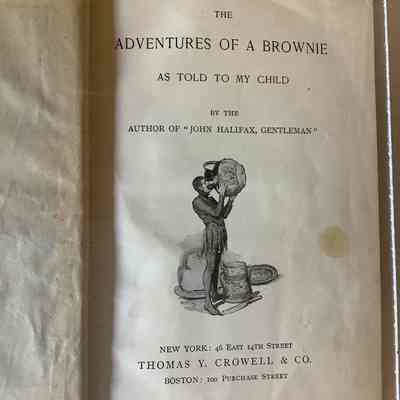 The Adventures of a Brownie