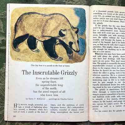 Pages 60-61: Left upper: Painting of a grizzly bear by Charles Culver
Left lower/right: Story called "The Inscrutable Grizzly"