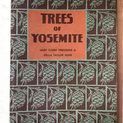 Trees of Yosemite