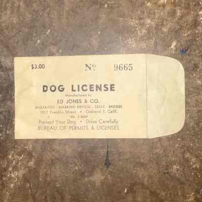 Dog License Envelope