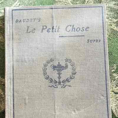 Le Petit Chose