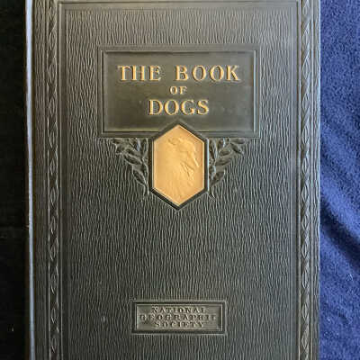 The book of dogs
