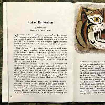 Pages 38-39: Story: "Cat of Contention" by Harold Titus. Picture of a striped cat by Charles Culver