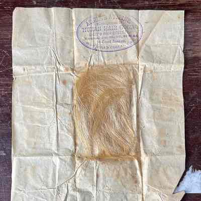 Blonde Hair in paper