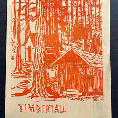 Pamphlet for Timbertall Camp: Cover is original artwork of Emelita Cohen