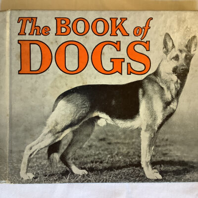 The book of dogs