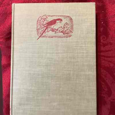 Robinson Crusoe