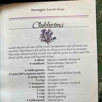 Recipe for tarragon lamb soup