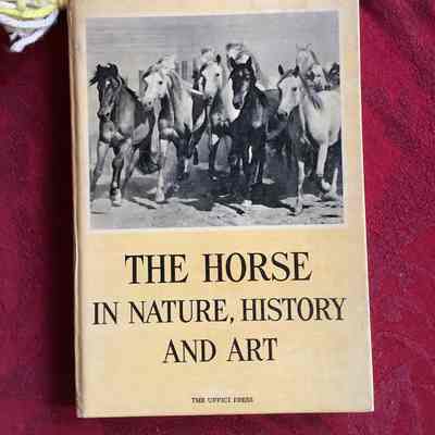 The Horse In Nature, History, and Art