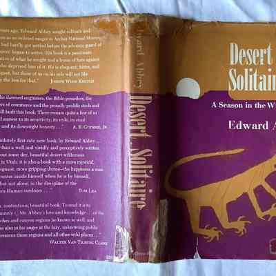 Desert Solitaire