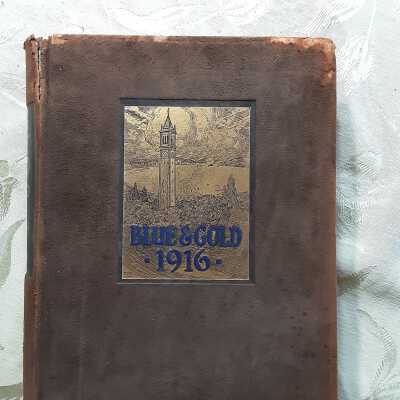 Blue & Gold 1916