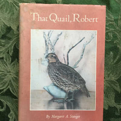 That Quail, Robert