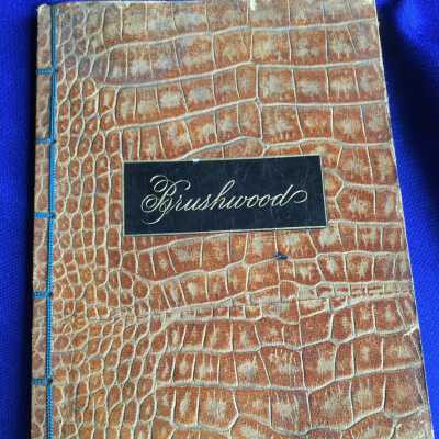Brushwood