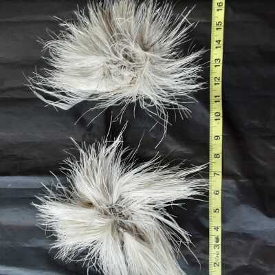 White feathers for hat embellishments