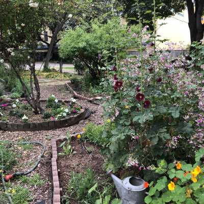 May garden