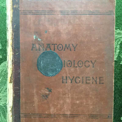 Anatomy Physiology Hygiene