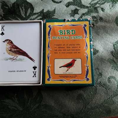 Bird Playing Cards
