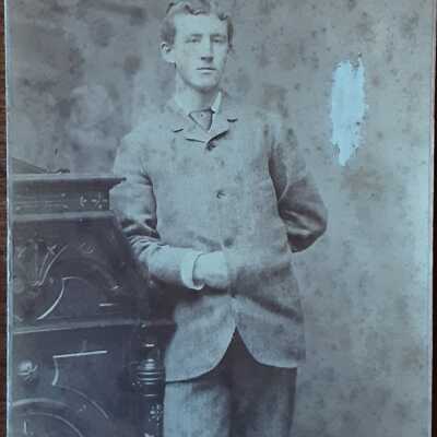 Alfred at Harvard