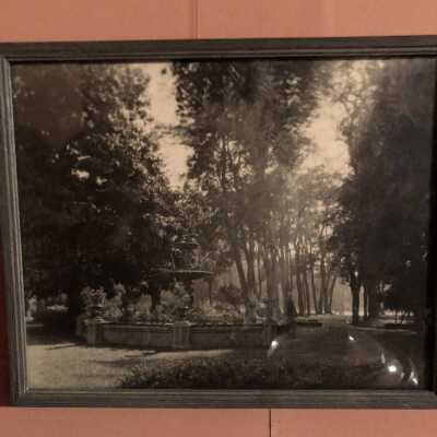 Oak Tree Farm