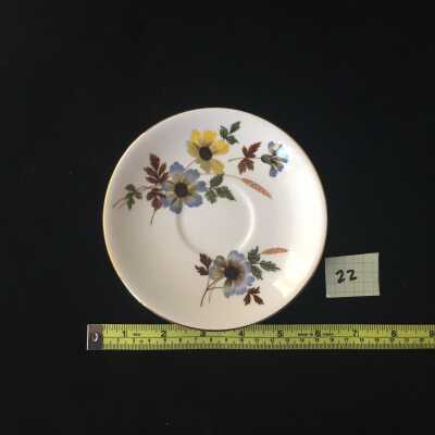 saucer