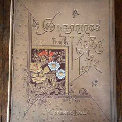 Gleanings from the Fields of Life