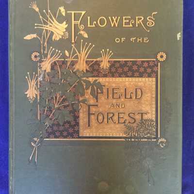 Flowers of the Field and Forest