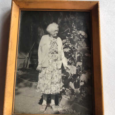 Emma Bray-Cohen