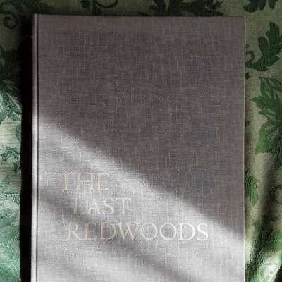 The Last Redwoods