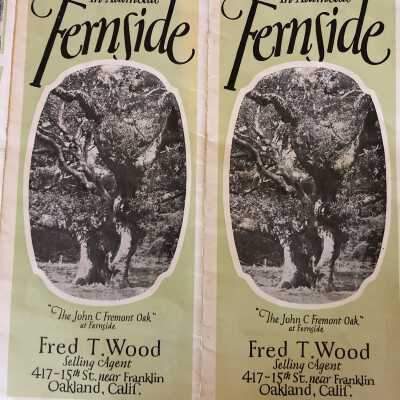 Fern side pamphlet subdivision real estate sales