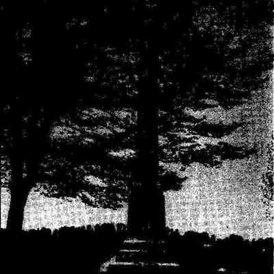 “Grave of Rysdyk’s Hambletonian Father of the Trotting Horse Chester, New York“ Front: The image depicts a monochrome, highly pixelated and grainy scene that appears to be of a natural setting, likely a cemetery or memorial site. Dominating the picture is a large, erect monument or obelisk, centrally placed against a backdrop of dark, shadowy trees under a sky patterned by clouds or foliage. The text at the bottom of the image, though faint and slightly obscured, reads "GRAVE OF RYSDYK'S HAMBLETONIAN", indicating that the monument marks the burial site of a notable entity, perhaps a historically significant horse, given that Hambletonian refers to a famous line of horses. There is additional text specifying a location in Chester, New York, suggesting the specific geographic context of the monument. The general ambiance of the image is somber and reflects the solemnity appropriate for a gravesite or memorial, captured in a style reminiscent of older photographic techniques or low-resolution scanning.