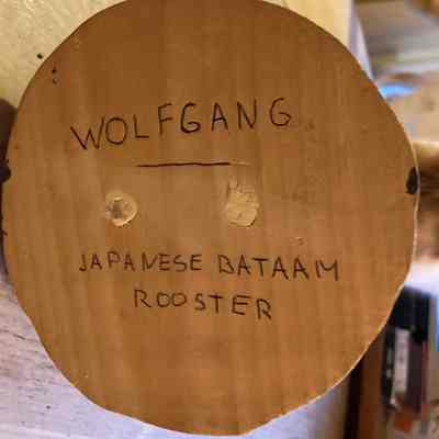 Carved Japanese Bataam Rooster base: The wooden base displays the writing: "WOLFGANG - JAPANESE BATAAM ROOSTER".