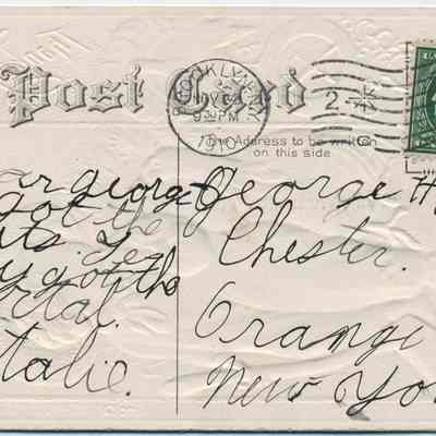 Address side of Thanksgiving greeting postcard: The image shows an old postcard postmarked from Brooklyn on November 10th, 1910, with a green one-cent U.S. postage stamp in the upper right corner; it is addressed to George Hawkins in Chester, Orange County, New York, and features a handwritten message from Natalie, mentioning "nuts" and "Today got the portal," with the embossed words "Post Card" and decorative elements around the text.