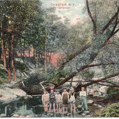 Otterkill, Chester, N. Y.: This photo postcard postcard depicts a serene scene at "Otterkill" in Chester, N.Y., showcasing a group of six young boys standing in the Otterkill Creek, surrounded by lush greenery and dense forests, creating an idyllic and tranquil moment captured in bright, colorized tones.