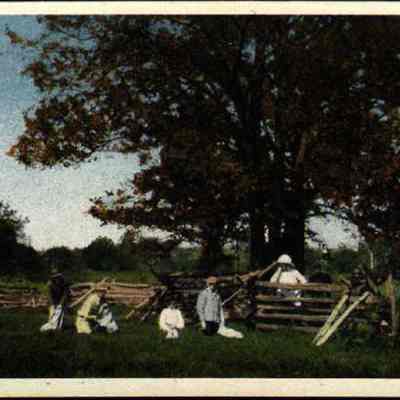 October Day Gathering Hickory Nuts, Chester, N.Y.