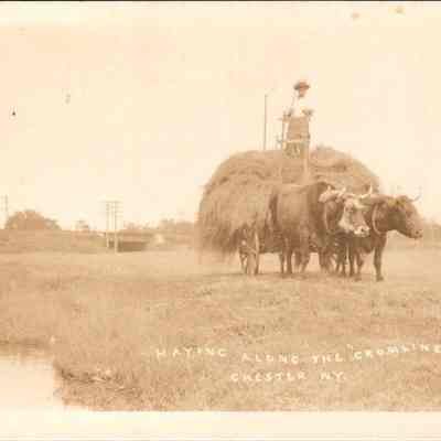 Haying Along The “Cromline” Chester, N.Y. Front. chs-019945-4: This sepia-toned historic photograph, taken by C. W. Kerner, captures a pastoral scene entitled "Haying Along the Cromline" in Chester, NY. It depicts a rural landscape with two oxen yoked to a wagon brimming with hay. Atop the hay sits a person, elevated on a makeshift seat, suggesting a moment of oversight or rest amidst the labor. In the background, you can see gentle fields under a broad sky, framed by telephone poles that mark the edge of technological advancement of the era. The placid waterway in the foreground mirrors the tranquility and timelessness typical of early twentieth-century American agrarian life. This image not only documents a routine agricultural activity but also subtly celebrates the harmonious relationship between man, animal, and nature during that period.