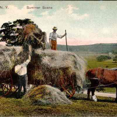Chester N.Y. Summer Scene Front. chs-019945-5: This vintage postcard depicts a summer scene in Chester, New York, showcasing two men engaged in agricultural labor, likely during the early 20th century. The image captures a vibrant, pastoral landscape with one man standing atop a large, loaded hay cart, holding what appears to be a pitchfork, while another man, positioned beside the cart, throws hay up to him. A pair of horses harnessed to the cart stand calmly to the side, hinting at a moment paused in a day's work. Lush green trees and expansive fields stretch into the distant background, bordered by gentle hills under a partly cloudy sky, evoking a sense of serene rural life and the timeless rhythm of farm work. The soft, faded colors and the slight grain of the image add to its historical ambiance, making it a picturesque representation of agricultural practice and rural beauty in historic America.