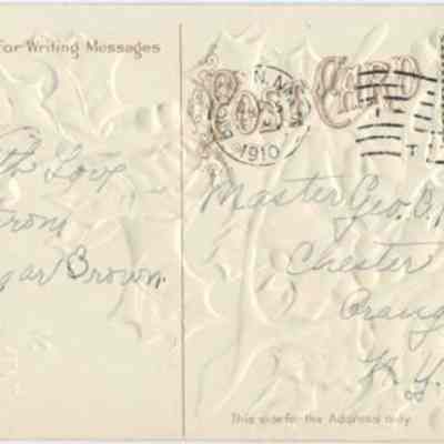Address side of the "A Merrie Christmas and Happy New Year" greeting postcard.: This image displays the back of an embossed vintage postcard from 1910, featuring handwritten messages and a green one-cent stamp, postmarked in Brooklyn, N.Y. The text on the left is a brief message from Edgar Brown, and the right side shows the recipient's name and address in Chester, Orange Co., N.Y.