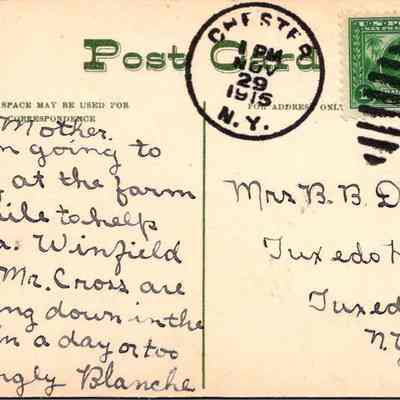 “Chester National Bank, Chester, N.Y.” Back chs-019952-1: The image shows an old postcard with a handwritten message and a green one-cent postage stamp affixed to the right side. It is postmarked from Chester, N.Y. on November 29, 1915. The card is addressed to Mrs. B.B. Davenport at Tuxedo Hospital in Tuxedo, N.Y. The sender, who signs off as "Blanche," tells her mother that she is planning to stay at the farm with Anna, Winfield, and Mr. Cross, who will be arriving in "the car" in a day or two. The left side of the postcard mentions that the space is meant for correspondence and it is also marked as being made in Germany.