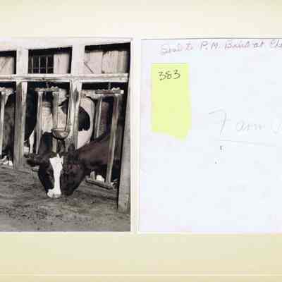 Baird Farm: Sent to P. M. Baird at Chester N.Y.