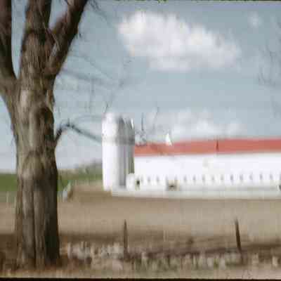 Leonard Baird Barn, circa mid-1960s: A large tree stands in front of a farm with a red-roofed barn and silo.